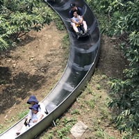 Great Wall toboggan