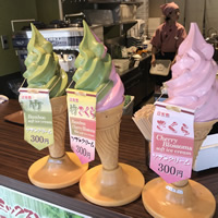 Bamboo ice cream