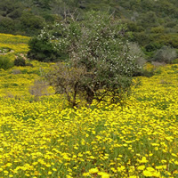 Kibbutz Beit Oren