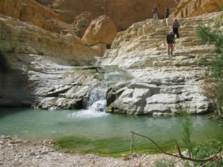 Nahal Arugot at Ein Gedi. Photo by Ester Inbar.