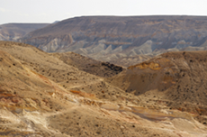 Negev. Click for full-size image.